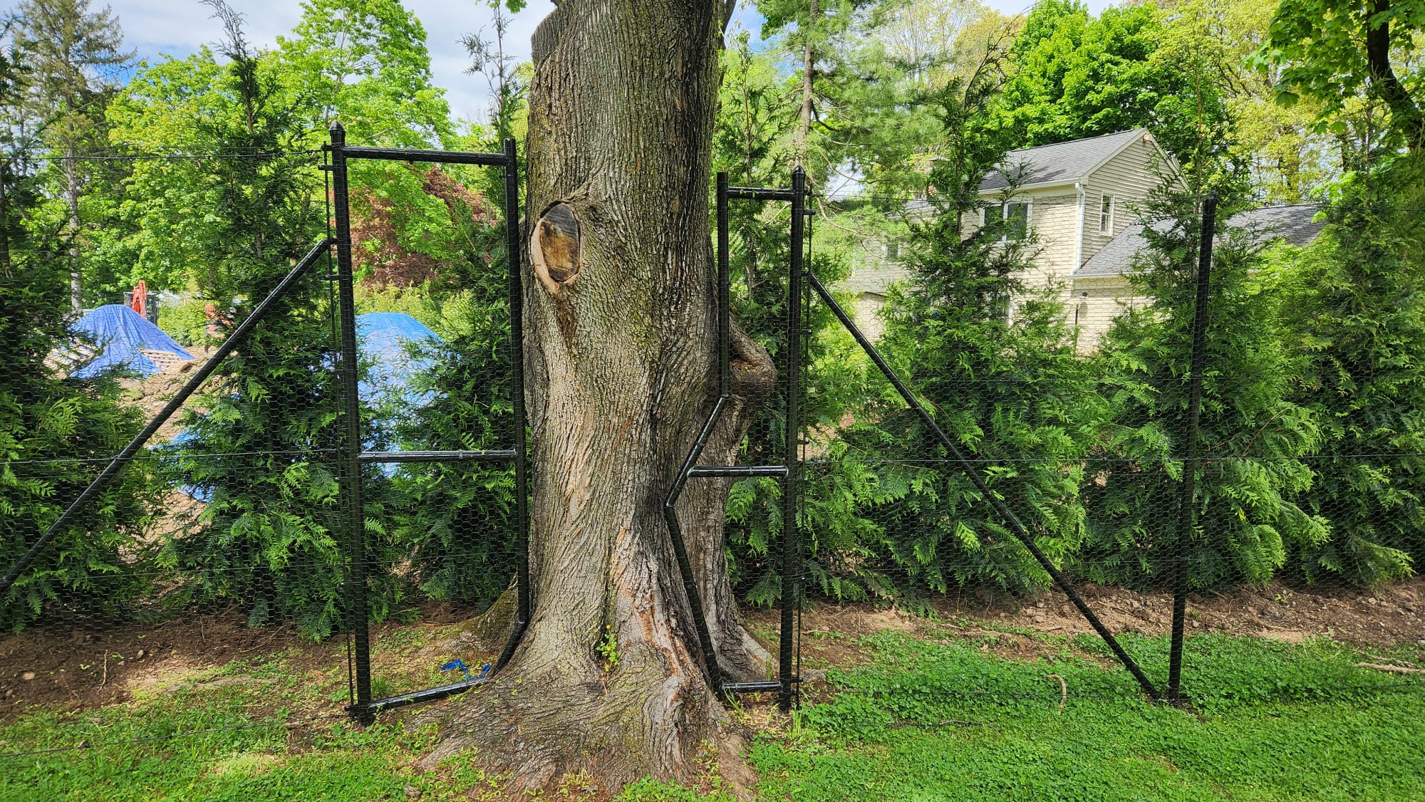 Deer Fence Example 1